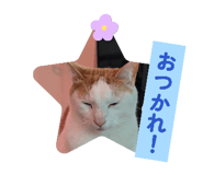 839693213