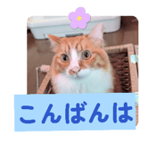 839693219