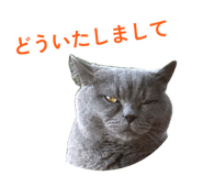 839693378