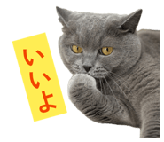 839693388
