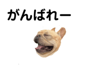 839693396