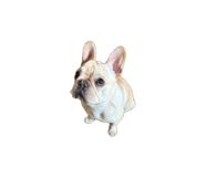 839693398