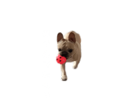 839693399