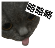 839693513