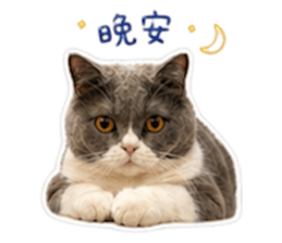 839693765