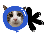 839694001