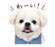 839694213