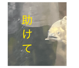 839694218