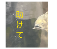 839694218