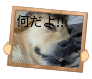 839694489