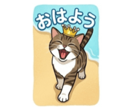 839694705