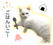 839694981