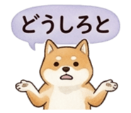 839694992