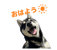 839695026