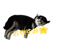 839695027