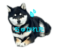 839695029