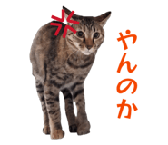 839695039