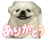 839695045