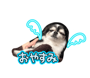 839695252