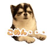 839695254