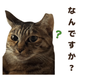 839695270
