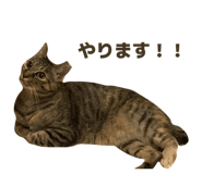 839695271