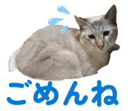 839695301