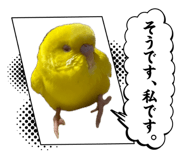 839695521