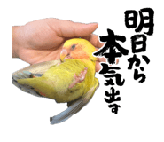 839695525