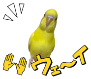 839695527
