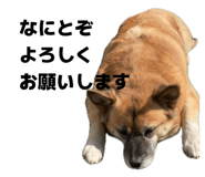 839695931