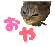 839695979