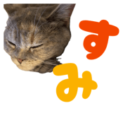 839695980