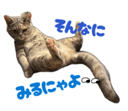 839695989