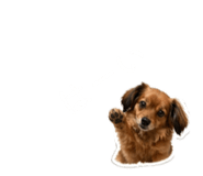 839696071