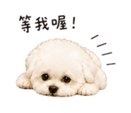 839696529