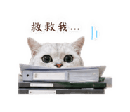 839696636