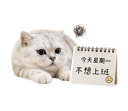839696638