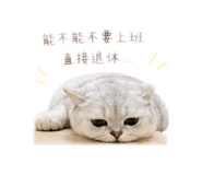 839696641