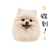 839696650