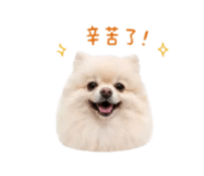 839696651