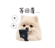 839696653