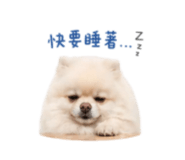 839696654