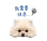839696659