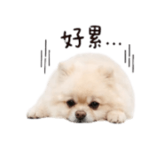 839696660