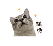 839696836
