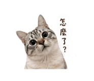 839696857