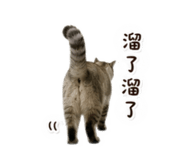 839696861