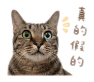839697020