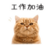 839697050